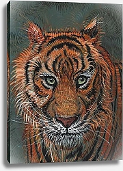 Постер Хужа Файзал (совр) Tiger 2, 2014,
