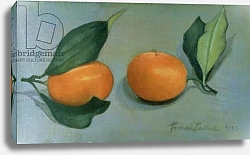 Постер Ливайн Томар Kumquats