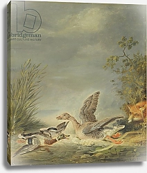 Постер Тишбейн Иоганн Fox and Waterfowl
