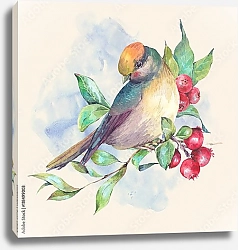 Постер Акварельная птичка на ветке с красными ягодами