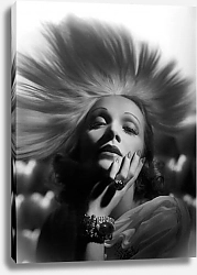Постер Dietrich, Marlene 5
