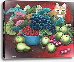 Постер Марек Джерзи (совр) Cat and Fruit