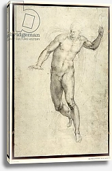 Постер Микеланджело (Michelangelo Buonarroti) Study for The Last Judgement