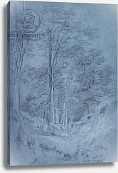 Постер Констебль Джон (John Constable) Study of ash and other trees