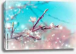 Постер Ветка цветущей вишни с волшебными бликами