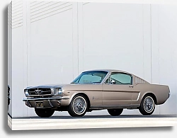 Постер Mustang Fastback '1965