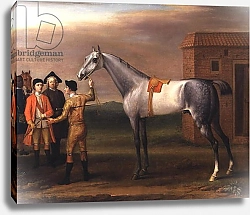 Постер Уоттон Джон Lamprey, with his owner, Sir William Morgan, at Newmarket, 1723