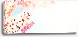 Постер Веточки вишни в цвету