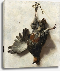 Постер Виникс Ян Dead Partridge Hanging from a Nail