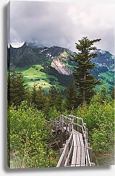 Постер Деревянный мостик в горах