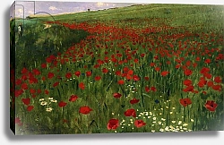 Постер Синьеи-Мерше Пал The Poppy Field, 1896