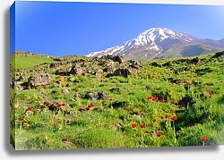 Постер Гора Демавенд в Иране