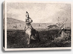 Постер Бракемон Феликс The Hare
