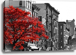Постер Красное дерево на черно-белой улице Нью-Йорка