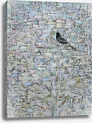 Постер Эдиналл Рут (совр) Blackbird in Tree