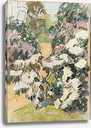 Постер Стадд Артур Blossom, c.1900