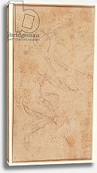Постер Микеланджело (Michelangelo Buonarroti) Study of a Figure with Pouncing Marks
