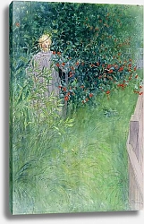 Постер Ларсон Карл In the Hawthorn Hedge