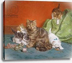 Постер Мерлин Даниэль Playful Kittens