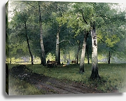 Постер Шильдер Андрей Березовый лес. 1908