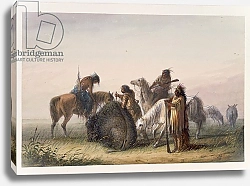 Постер Миллер Якоб Альфред Supplying Camp with Buffalo Meat, c.1858-60