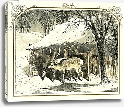 Постер Фостер Майлз  Биркет Deer in the snow