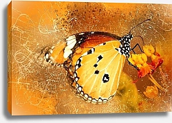 Постер Оранжевая бабочка на цветке, ретро
