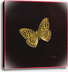 Постер Клейзер Амелия (совр) Silver washed fritillary butterfly, 2000