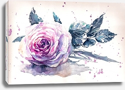 Постер Розовая роза, акварель в стиле ретро