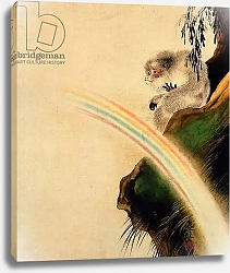Постер Дзэсин Сибата Gibbon seated on a rock with rainbow in foreground