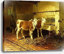 Постер Хант Уолтер Two Calves in a Barn,