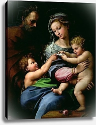 Постер Рафаэль (Raphael Santi) The Virgin of the Rose, c.1518