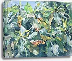 Постер Годлевска де Аранда (совр) Plants, 1961