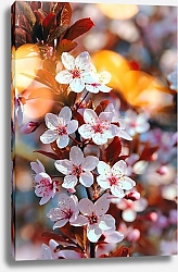 Постер Ветвь цветущей вишни 1