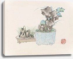 Постер Неизвестен Bonsai kabenzu, Pl.14