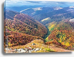 Постер Яркие деревья в осенних горах