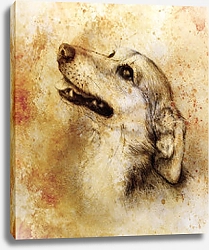 Постер Собака, рисунок карандашом на старой бумаге