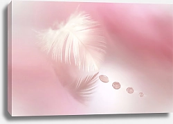Постер Белое перо с каплями росы на розовом фоне