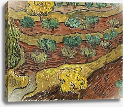 Постер Ван Гог Винсент (Vincent Van Gogh) Оливковые деревья с Альпами на заднем плане, 1889