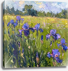 Постер Green meadow with irises