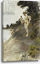 Постер Цорн Андерс Frightened; Skramda, 1912
