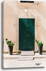 Постер Зеленая дощатая дверь, Шикли, Италия