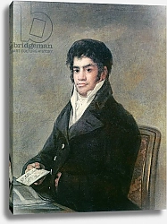 Постер Гойя Франсиско (Francisco de Goya) Portrait of Don Francisco del Mazo, c.1815