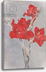 Постер Мондриан Пит Red Gladioli, c.1906
