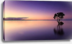Постер Дерево в воде на закате