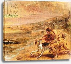 Постер Рубенс Петер (Pieter Paul Rubens) The discovery of purple, c.1636