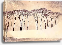 Постер Монохромный зимний пейзаж. Голые деревья на тихом озере