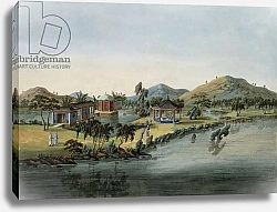 Постер Школа: Китайская 19в. Garden Scene, c.1820-40 1