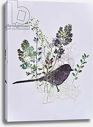 Постер Томпсон-Энгельс Сара (совр) Birdy with leaves