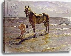 Постер Серов Валентин Bathing a Horse, 1905